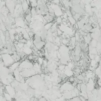 S63009 Marmor Carrara Abbildung