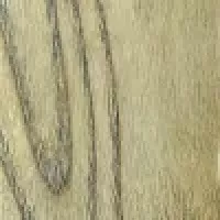 Eiche Abbildung